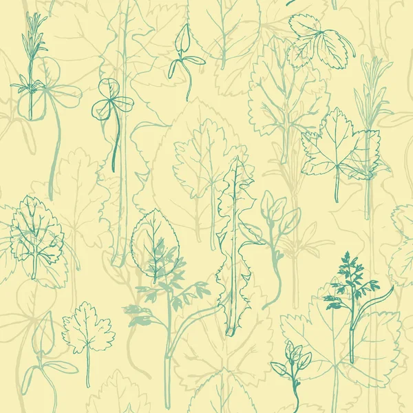 Patrón sin costuras con hierbas y hojas — Archivo Imágenes Vectoriales
