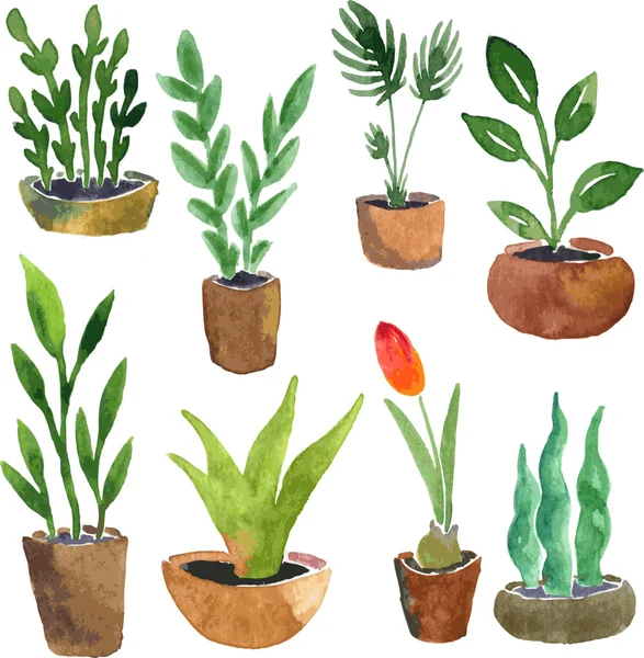 Acuarela dibujo plantas caseras — Vector de stock