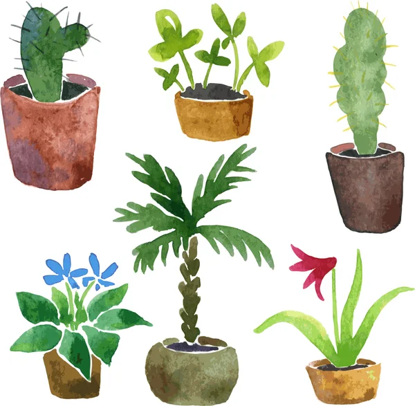 Acuarela dibujo plantas caseras — Vector de stock