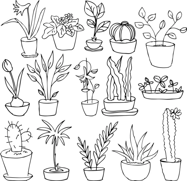 Dessin ligne plantes à la maison — Image vectorielle