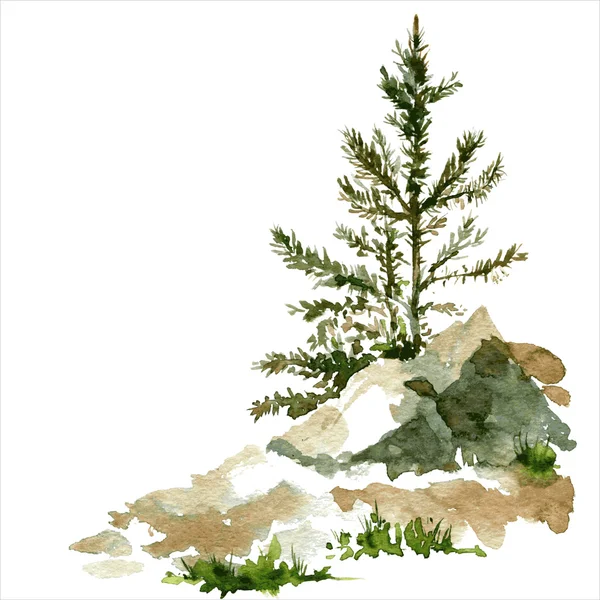 Pine trees and rocks — Stock Vector