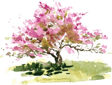 cherry blossom tree clipart