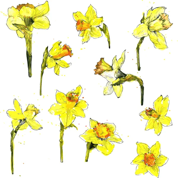 Květinová sada akvarel vektor — Stockový vektor