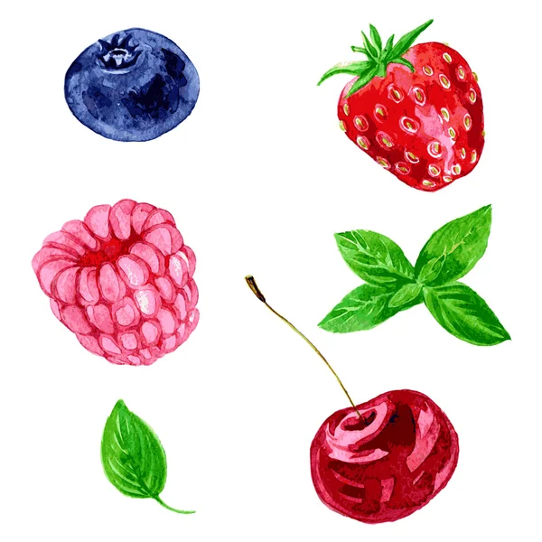 Vektor Aquarell Beeren — Stockvektor