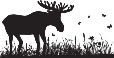 Silhouette çim ve geyik