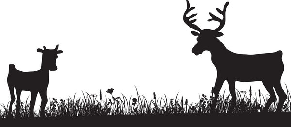 silhouette of grass and deers