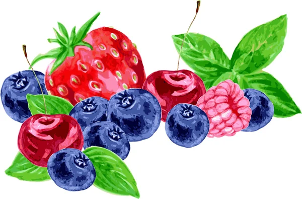 Vector watercolor berries — Stock Vector