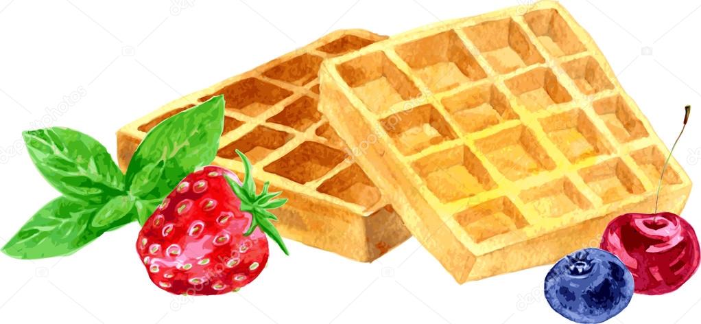 watercolor vector wafers and berries