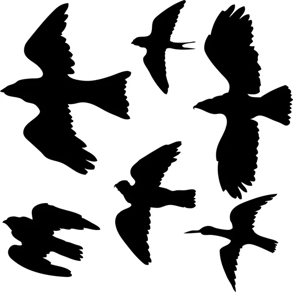 Vector set of birds silhouettes Royalty Free Stock Vectors