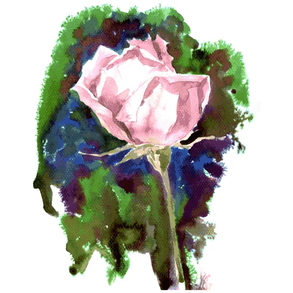 Watercolor pink rose — Stock Vector