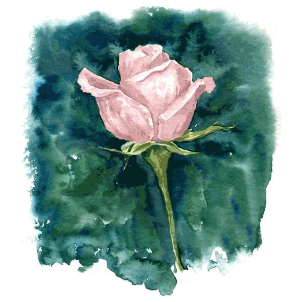 Watercolor pink rose — Stock Vector