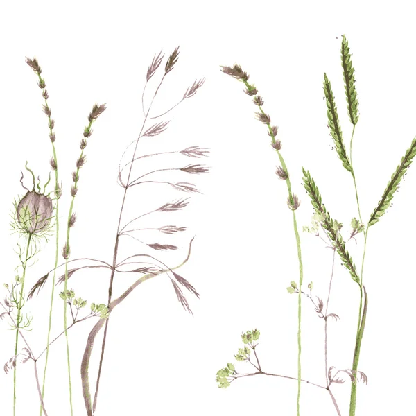 Silhouetten van bloemen en gras — Stockvector