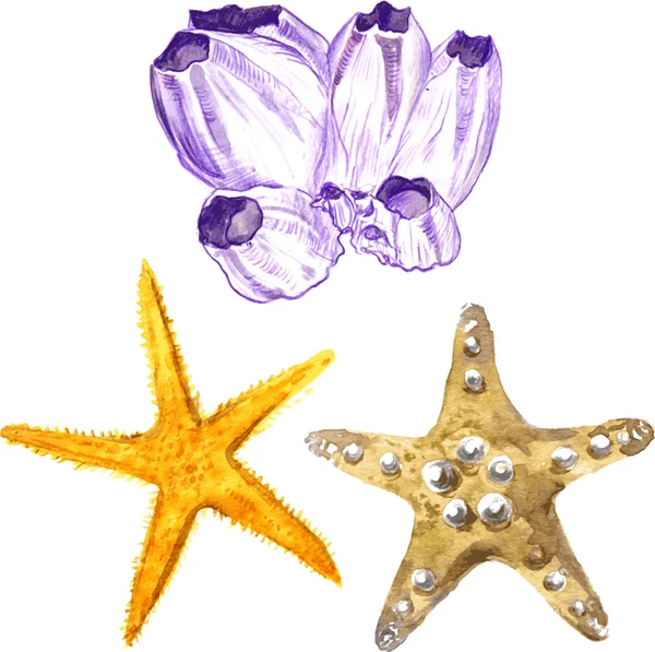 Aquarela estrelas do mar e coral —  Vetores de Stock