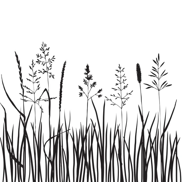 Black grass silhouettes, hand drawn wild cereals, meadow wild plants, vecto...