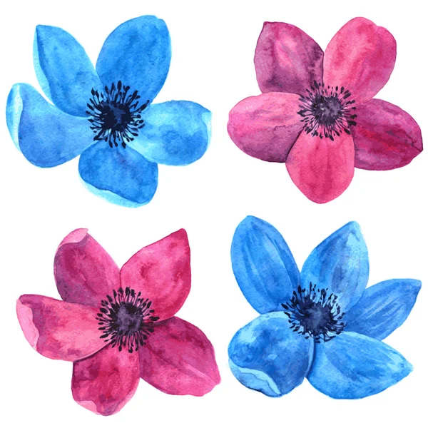 Aquarela desenho rosas — Vetor de Stock