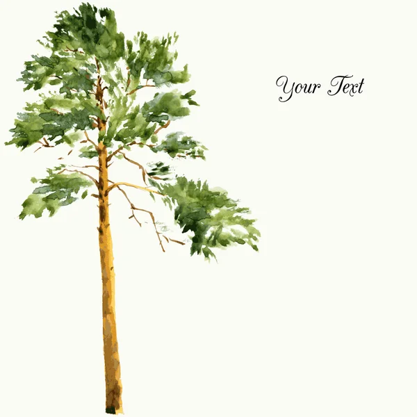 Pine trees and rocks — Stock Illustration Pine trees and rocks Stock Illustration