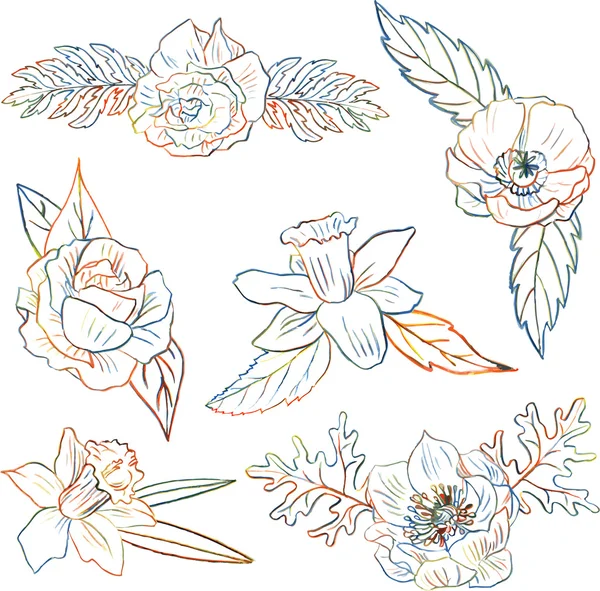 Floral set Vector Graphics