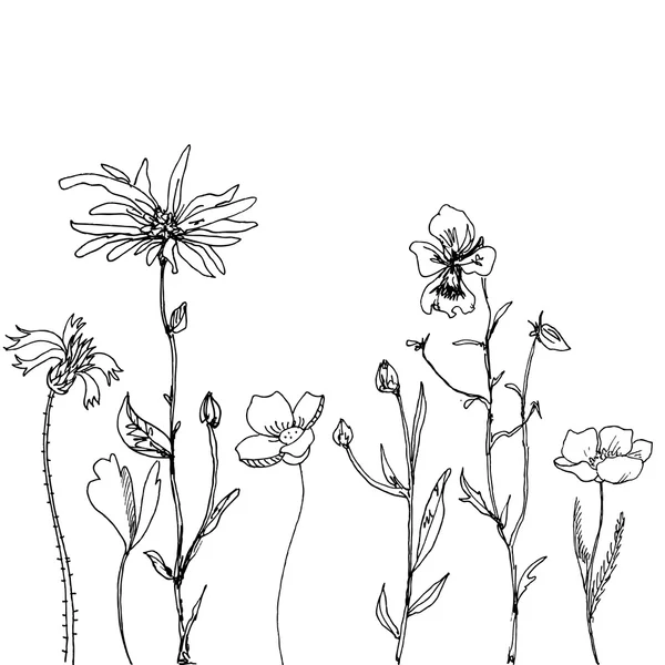 Florale Komposition — Stockvektor