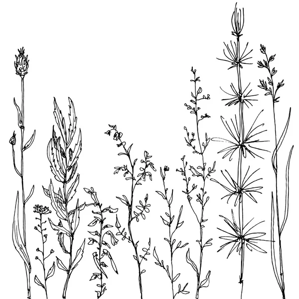 Blommig sammansättning — Stock vektor