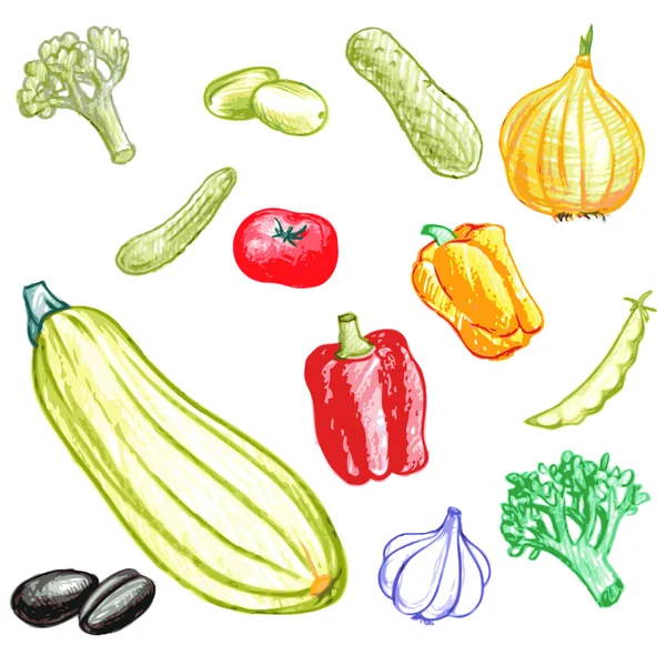 Vegetable Line Drawing Images – Browse 157,964 Stock Photos, Vectors, and  Video | Adobe Stock