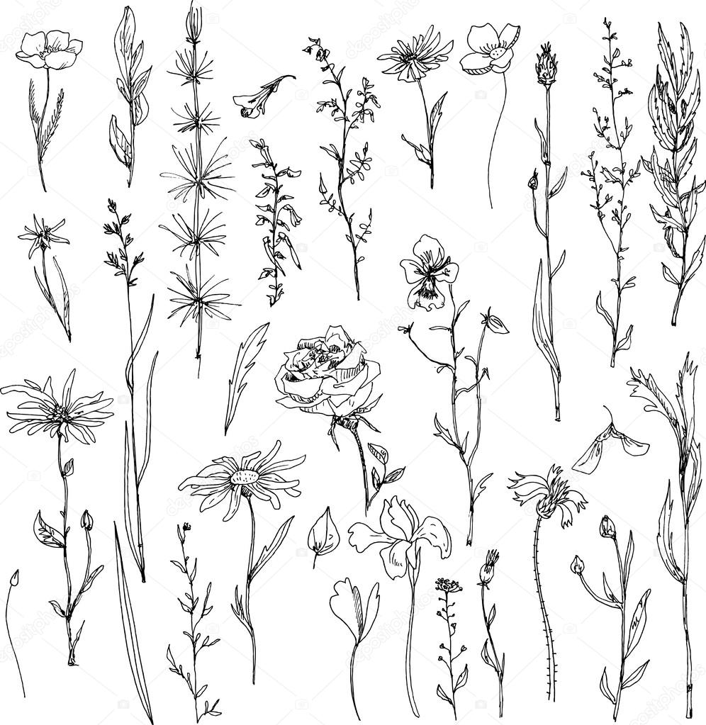 floral doodle set
