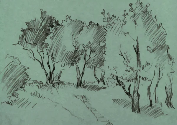 落葉樹の木立 — ストックベクタ
