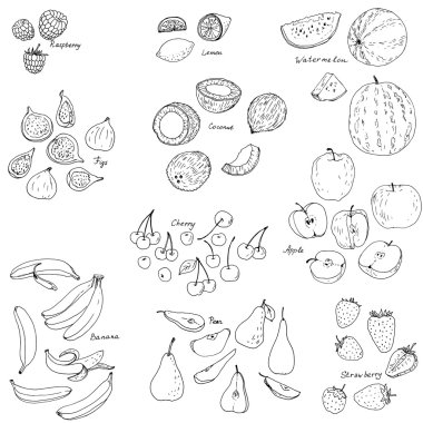 vektör kümesi froots ve çilek
