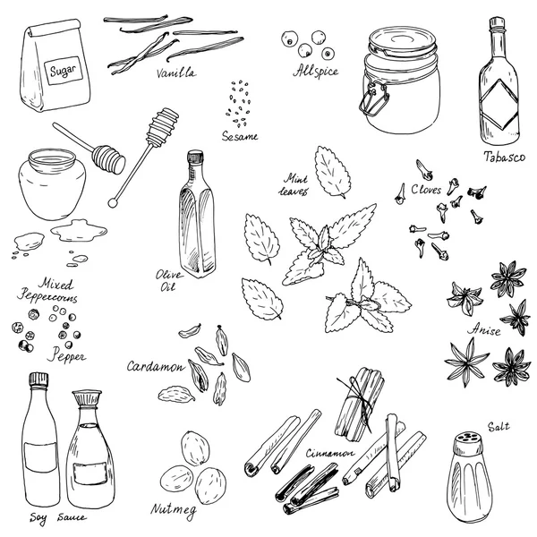 Vector spice set — Stockvector