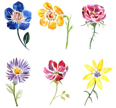 Sulu Boya çizim çiçek