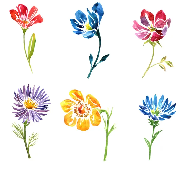 Sulu Boya çizim çiçek