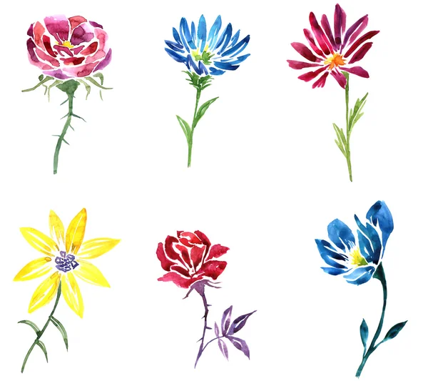 Akvarell ritning blomma — Stockfoto