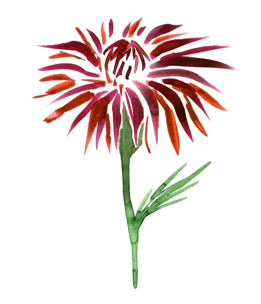 Aquarela desenho flor — Fotografia de Stock
