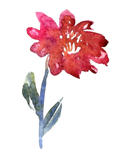 Watercolor drawing flower — Stock Photo, Image