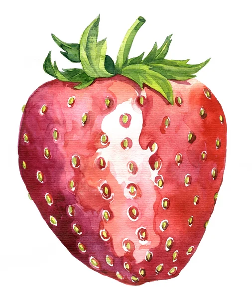 Watercolor drawing strawberry — Stock Photo, Image