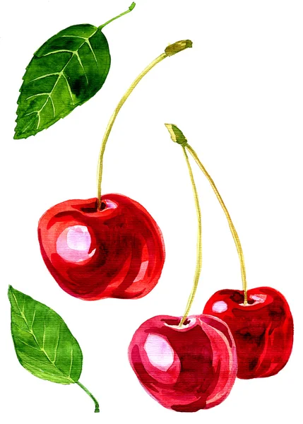 Akvarell ritning cherry — Stockfoto