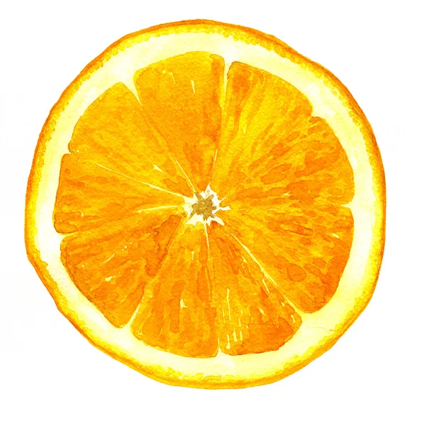 Slice of orange drawing by watercolor — Stock Photo, Image