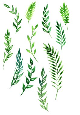 suluboya soyut dallar kümesi