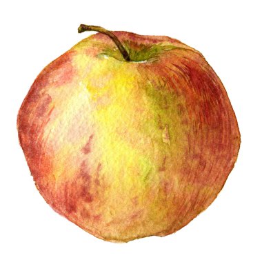Watercolor 'dan Elma Çizimi