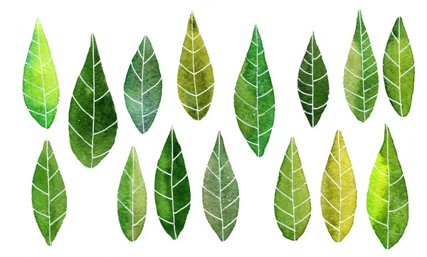 Набор абстрактных зеленых листьев акварелью — стоковое фото