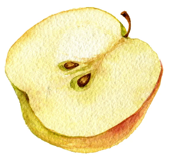Half apple tekening door aquarel — Stockfoto
