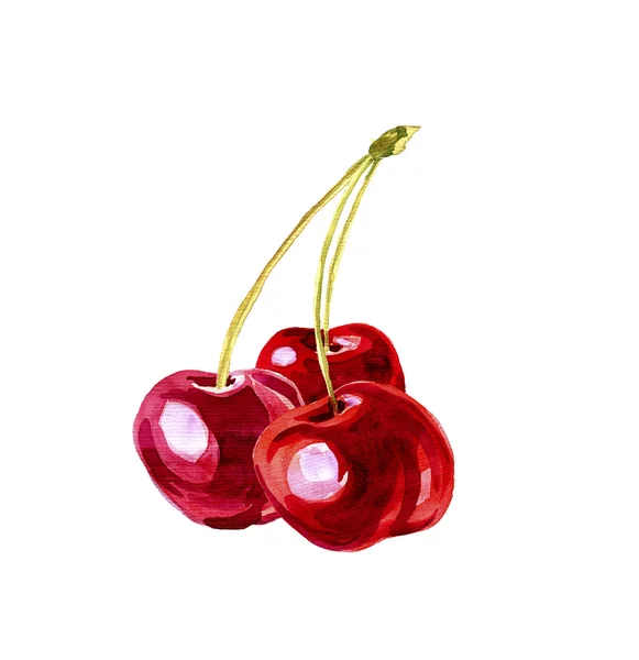 Akvarel výkresu cherry — Stock fotografie