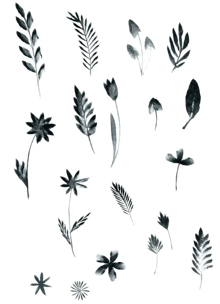 Set of black watercolor floral elements — Stock Photo, Image
