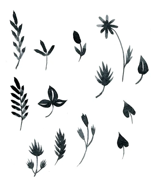 Set of black watercolor floral elements — Stock Photo, Image