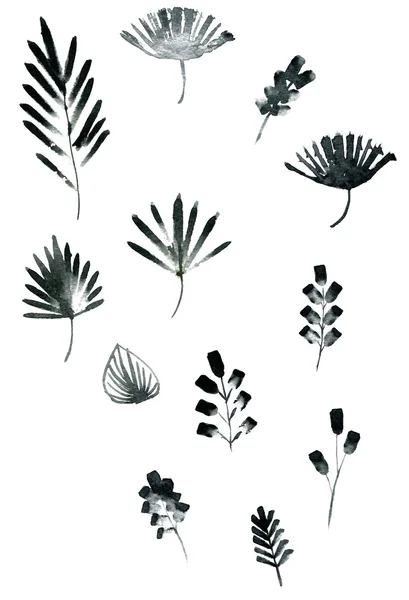 Zestaw elementów kwiatowy czarny akwarela — Zdjęcie stockowe