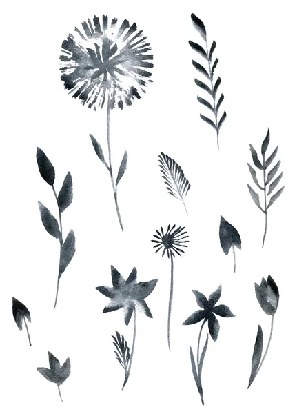 Set of black watercolor floral elements — Stock Photo, Image