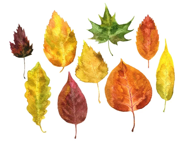 Set őszi levelek, akvarell — Stock Fotó