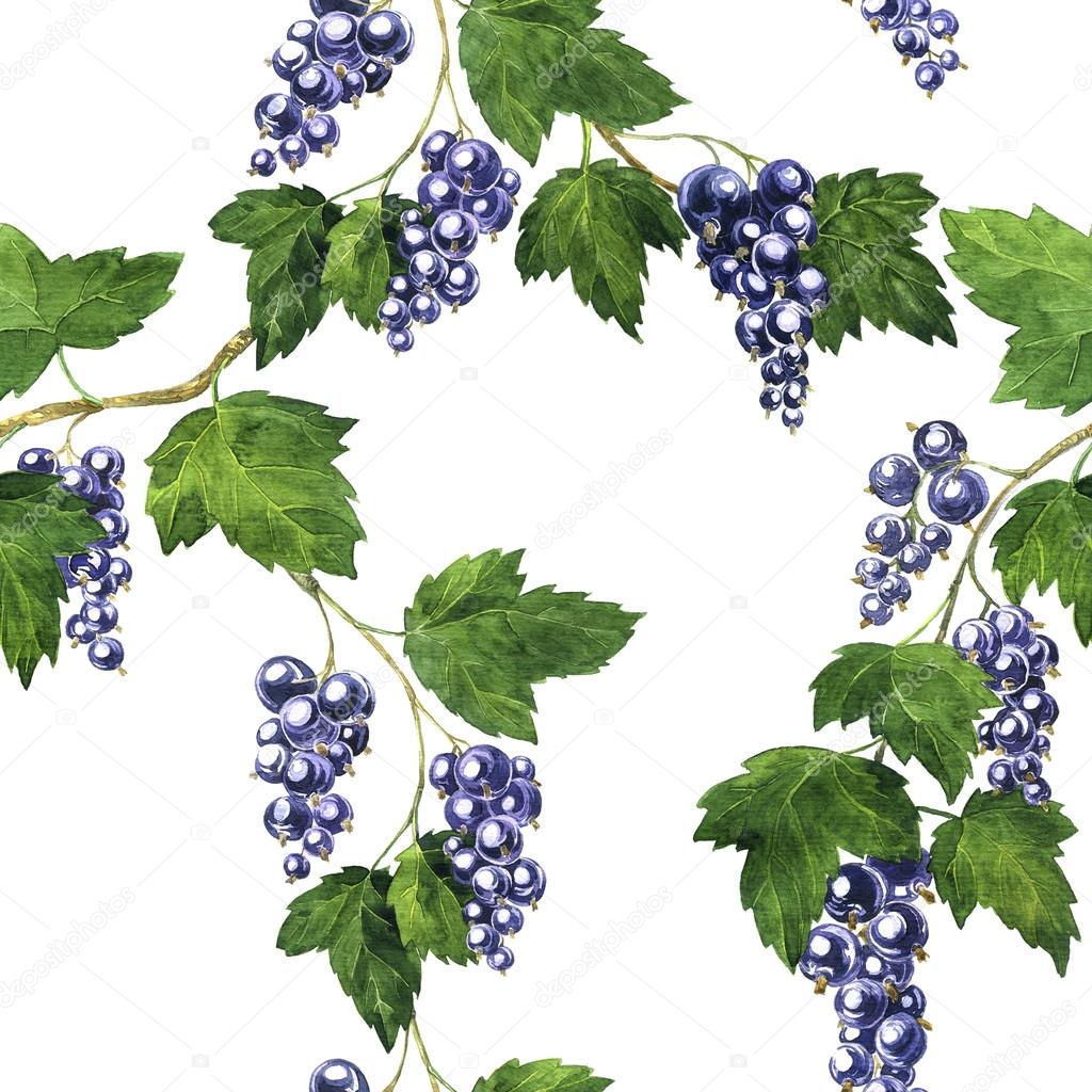 seamless pattern with black currants