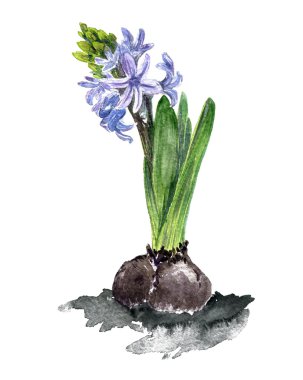 suluboya çiçekler çiziyor