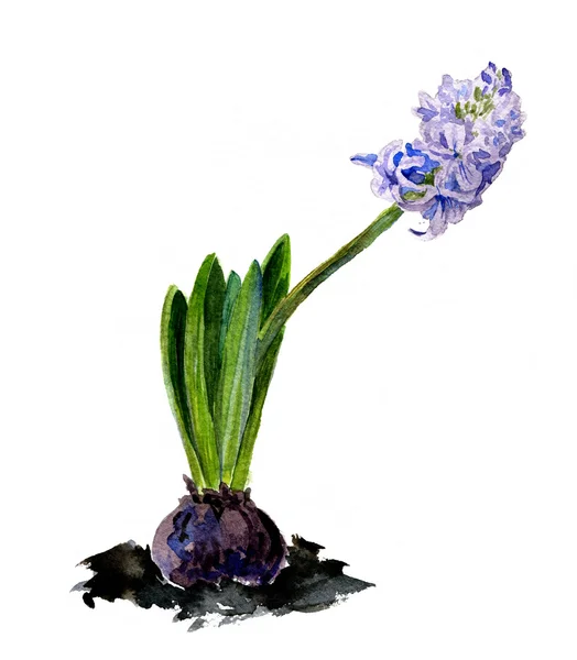 Akvarell rajz virágok — Stock Fotó