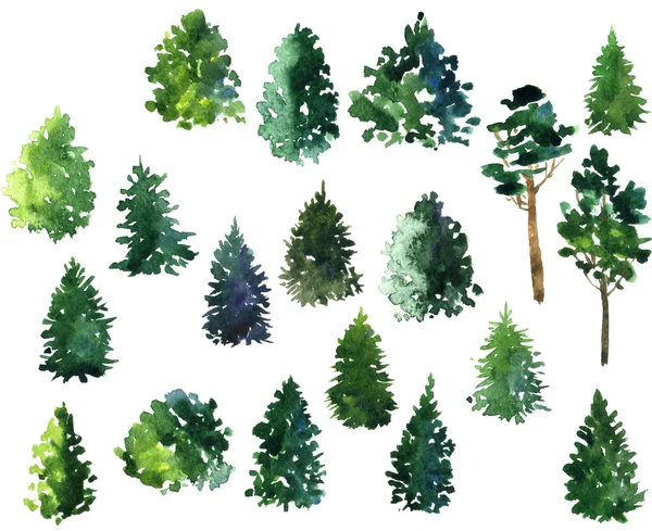 Set of conifer trees — Stock Photo, Image